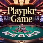 Playpkr Game
